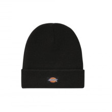 Dickies - Gibsland Beanie